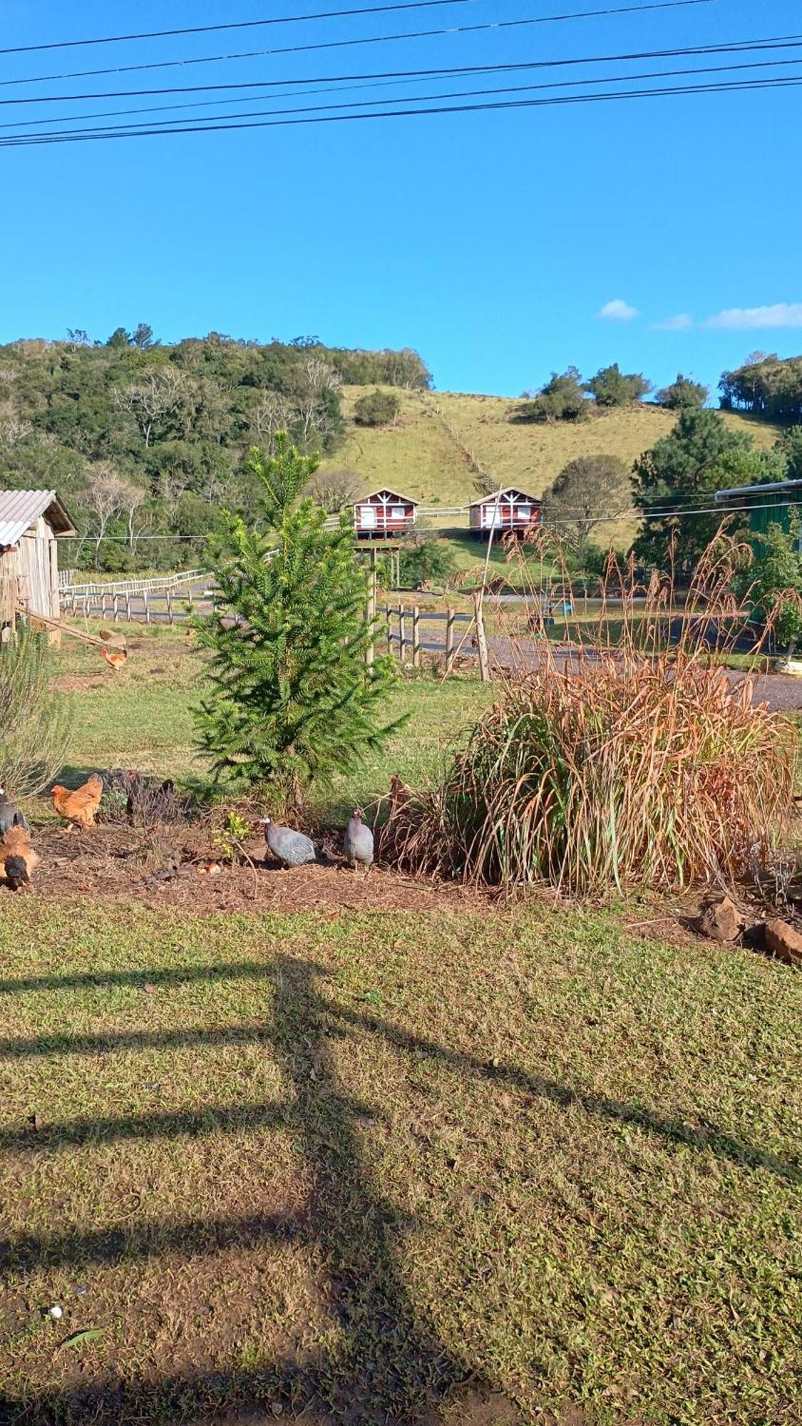 Pousada Rancho Do Lago 오조리우 객실 사진