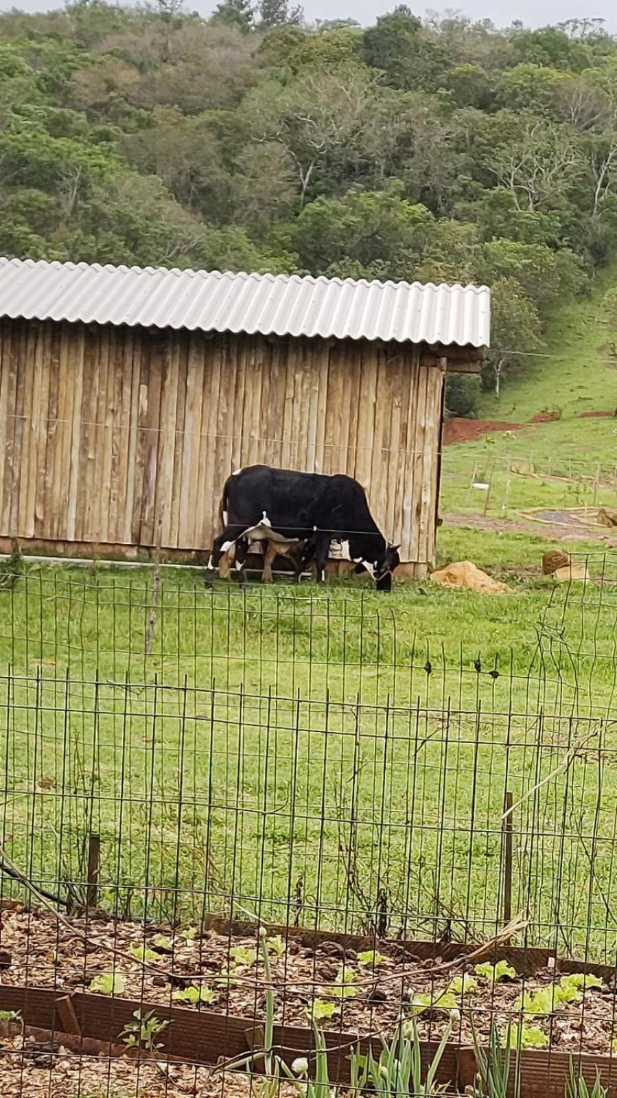 Pousada Rancho Do Lago 오조리우 외부 사진